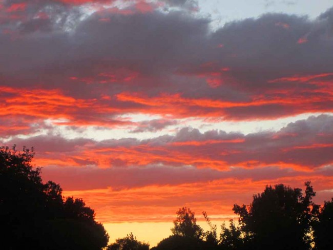 sunset