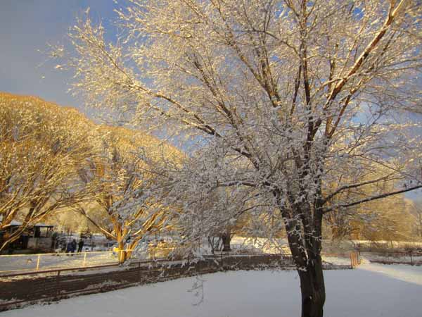 snowsunset